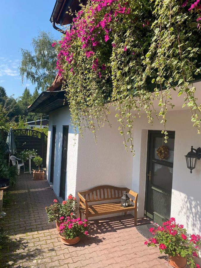 Ferienwohnungen Elsterblick Bad Elster Exteriér fotografie