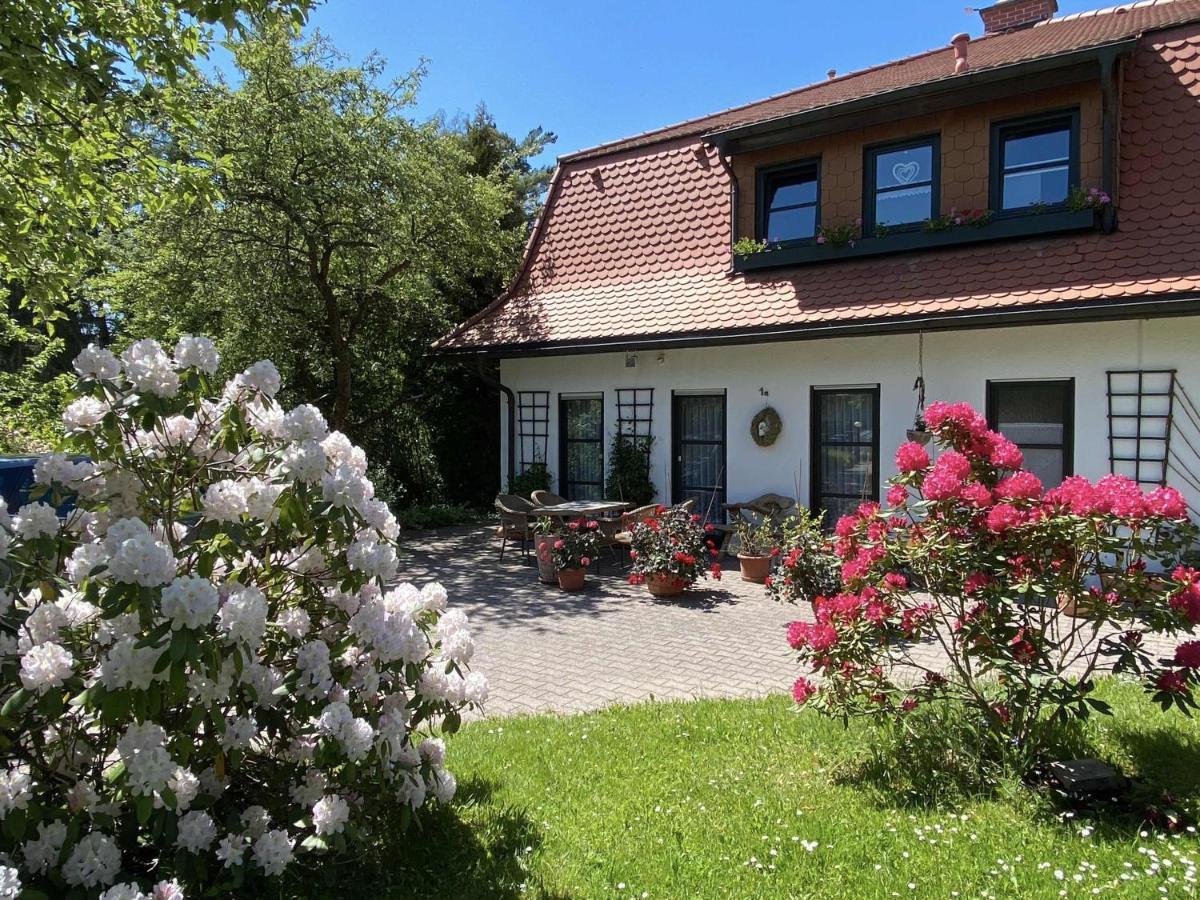 Ferienwohnungen Elsterblick Bad Elster Exteriér fotografie