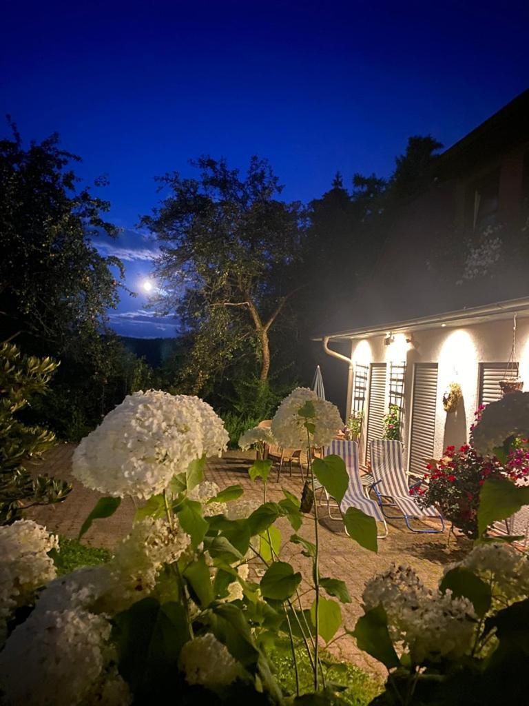 Ferienwohnungen Elsterblick Bad Elster Exteriér fotografie